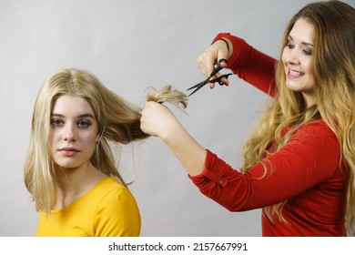Hairstyle and haircut. Young female barber holding scissors tool ready to trimming hair her friends. Two girls creating new hairdo coiffure