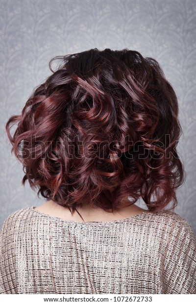 Hairstyle Short Curls On Brownhaired Back Beauty Fashion Stock Image