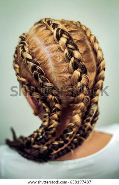 Hairstyle Thick Plaits On Head Girl Stock Photo Edit Now 658197487