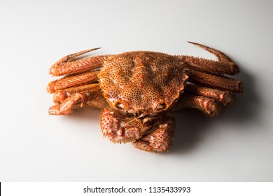 Hairy Crab On White