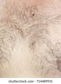 Hairy Male Body