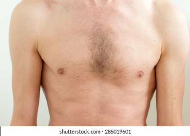 Hairy Male Chest 