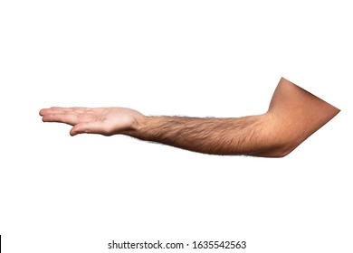 Hairy Man Hand With Palm Up Isolated On White Background