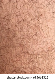 A Hairy Mans Leg