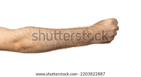 Hairy men fist isolated. One person hand cut out, man fist on white background