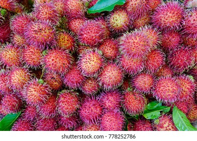 A Lot Of Hairy Rambutan Fruits At A Local Market In Mekong Delta, Vietnam.