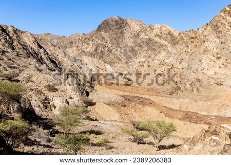 Hajar Mountains on Arabian Peninsula landscape view with dry riverbeds (wadi), barren acacia trees and dry rocky limestone mountains, United Arab Emirates.