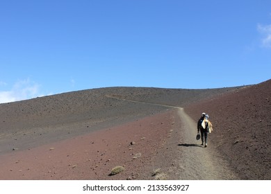 Haleakala Volcano In Maui Hawaii