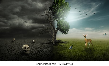 Half alive and half dead tree  - Shutterstock ID 1718611903