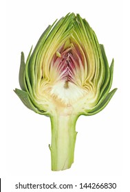  A Half Artichoke Isolated On White