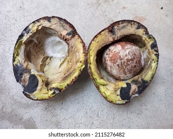 Half Avocado Is Spoiled And Moldy. Waste Food Concept