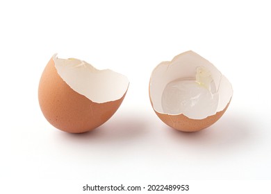 half of broken eggshells isolated on a white background. The eggshell is broken into 2 pieces. Eggshells are oval, brown, brittle and thin, easily broken. 