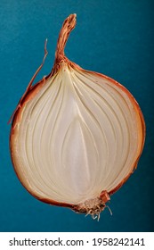 Half A Bulb Onion. Gold Onion Vegetable. Raw Hide Close Up.