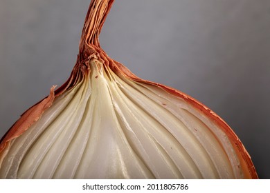 Half A Bulb Onion. Gold Onion Vegetable. Raw Hide Close Up.