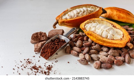 Half Cacao Pods With Cacao Fruit And Brown Cocoa    Powder