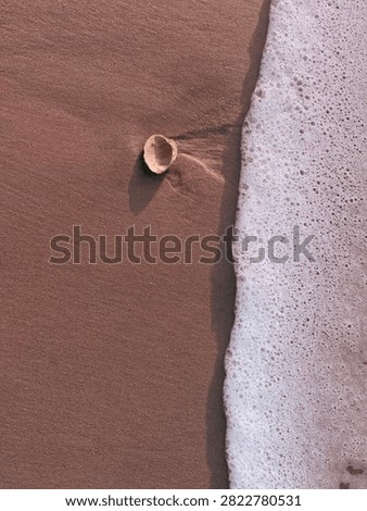 Half of a clam shell, washed ashore by a previous wave, is about to be submerged by the next one. Overhead view. Myrtle Beach South Carolina 2026
