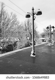 Half covered lightpost