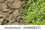 Half cracked dry brown infertile and wet green grass earth fertile ground soil surface closeup aerial top view. Water crisis, drought, water scarcity, global warming and climate change concept.