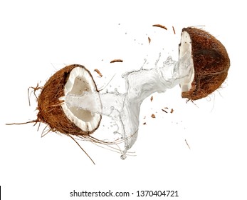 Half Cut Coconut Splash