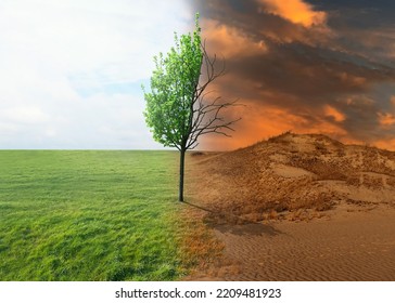 Half dead and alive tree outdoors. Conceptual photo depicting Earth destroyed by global warming - Shutterstock ID 2209481923
