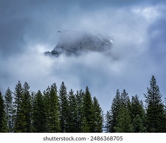 Half Dome peaking through the clouds on a snowy day in winter with a crow or raven flying past, in Yosemite Valley, Yosemite National Park, California. - Powered by Shutterstock