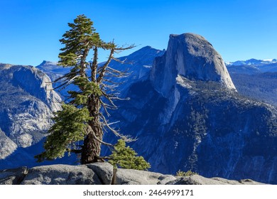 Half Dome seen from Glacier Point in Yosemite National Park : Yosemite, CA, USA - Powered by Shutterstock