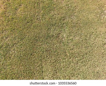 Half Dormant Bermudagrass Pattern 