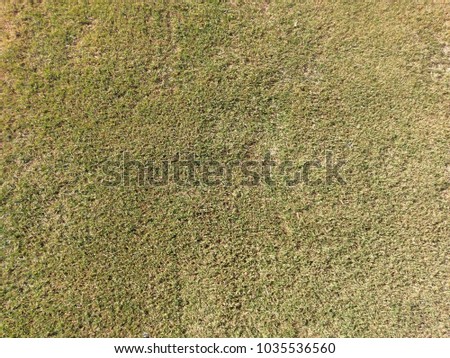 Half dormant bermudagrass pattern 