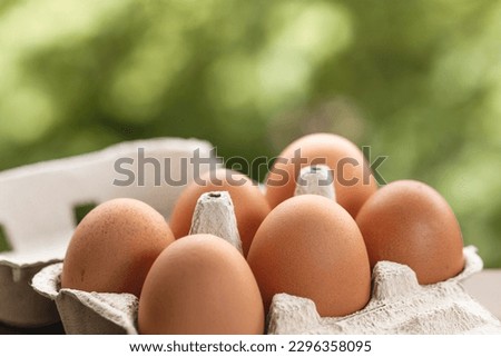 Half a dozen brown eggs in a cardboard egg carton on a defocused natural background of trees in spring. Side view with copy space of brown eggs in carton box. Egg in recycled basket  protein breakfast