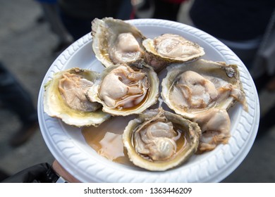 Half A Dozen Fresh Oysters