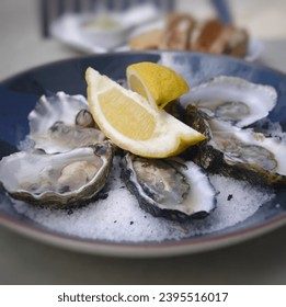 Half Dozen Oysters In Shell On Salt Bed - Shutterstock ID 2395516017