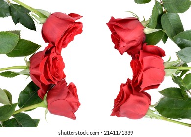 Half A Dozen Red Roses Isolated White Background Concept Beauty