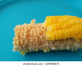 Half Eaten Corn On The Cob Kernels. 