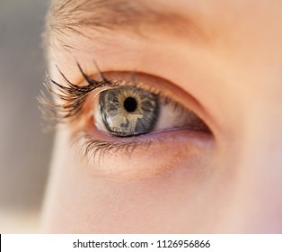 Half Face Section Beauty Portrait Of Young Woman Looking Away With Blue Eyes And Natural Beautiful Features, Outdoors. Golden Blond Female, Purity Innocence Lifestyle. Pupils Sight Vision Sense.