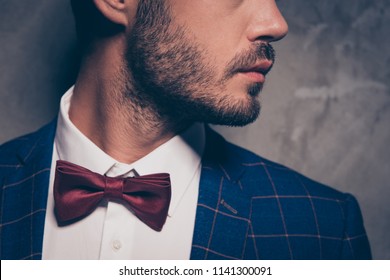 Half faced turned close up view photo portrait of handsome attractive serious man clothed in elegant apparel checkered dark blue smartsuit isolated on gray background