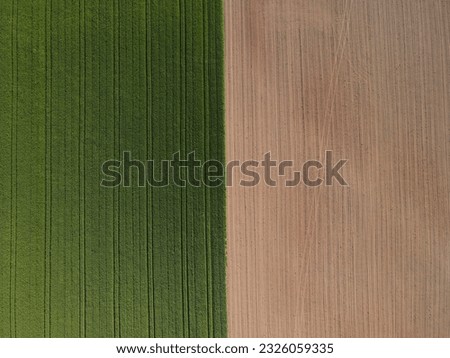 Similar – Image, Stock Photo From above of cropped faceless businesswoman writing on notepad at computer desk in office