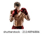 Half length of professional athlete boxer in red gloves who isolated on white studio background. Fit muscular caucasian athlete fighting. Sport, competition concept. 