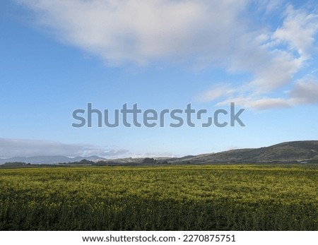 Similar – in Südafrika Naturreservat Teichsee und Busch