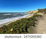 Half Moon Bay state beach, CA, USA