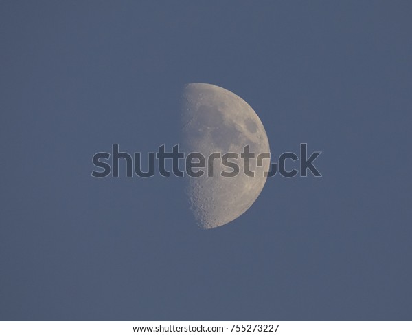 Half moon in the blue sky\
in nature