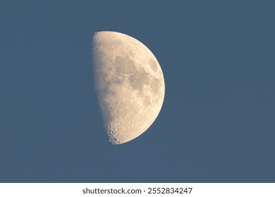 Half moon (first quarter) at dusk. Copy space. - Powered by Shutterstock