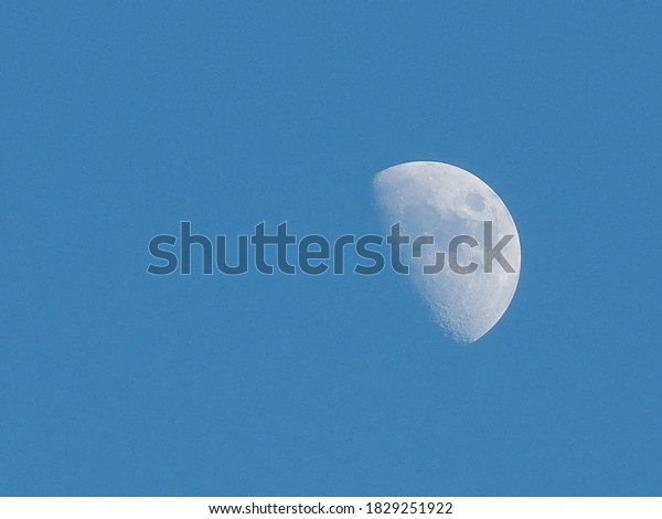 Half moon at morning\
is natural satellite