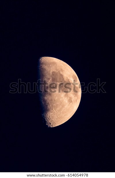 Half moon\
shining in the darkness showing details of the craters on the\
surface with copy space over the night\
sky