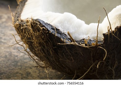 Half Of An Open Coconut On A Marbled Surface. Backlit, Close Up Macro Studio Shot.