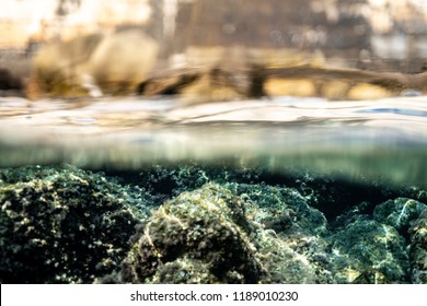 half over half underwater shot on a beautiful bay in Croatia, Coast line water line macro shot, underwater photography with a dome port - Shutterstock ID 1189010230
