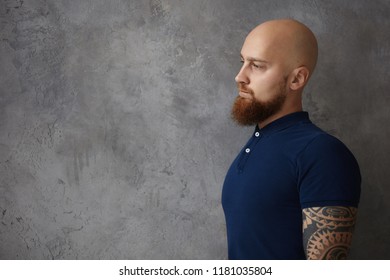 Apologise, shaved or bushy can Shaved or bushy suggest you