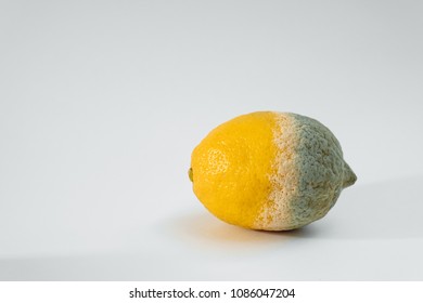 343 Half rotten lemon Images, Stock Photos & Vectors | Shutterstock