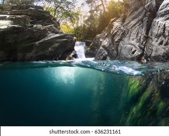 Half Underwater  In The Forest With Waterfall