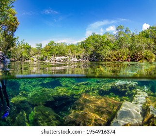 Half underwater shot in a cenote (Cenote Ponderosa, Playa del Carmen, Quintana Roo, Yucatan, Mexico)