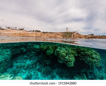 Half Underwater Shot Of Coral Reef In Tropical Sea